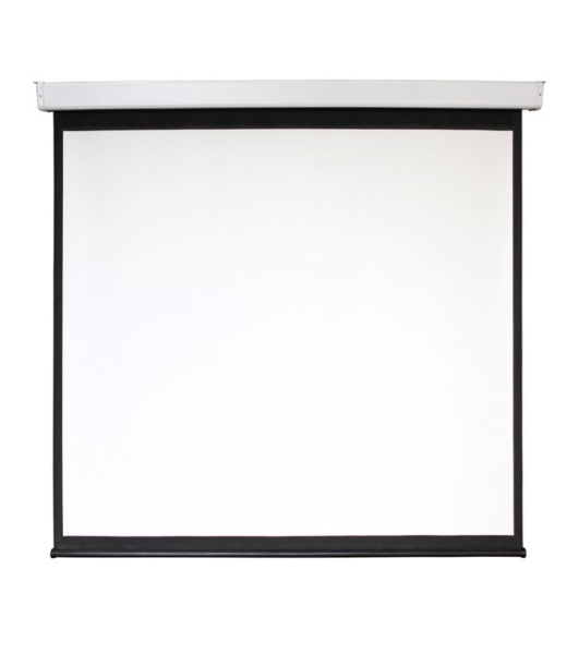 Экран 168x300см Digis Electra-F DSEF-16906 16:9 настенно-потолочный рулонный (моторизованный привод)