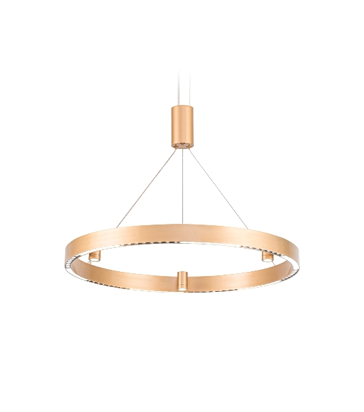 Подвесной светодиодный светильник Ambrella light FL5846/1+3 GD золото 40W 3000K/4200K/6400K D600*1200 (без ПДУ)