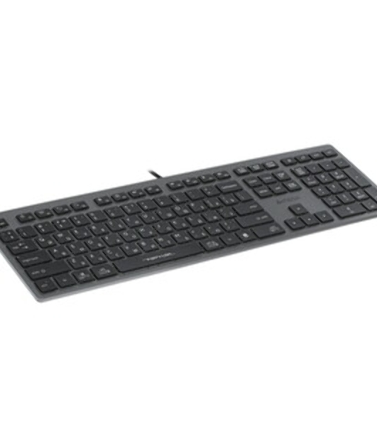 Клавиатура проводная A4Tech Fstyler FX60 серый/белый