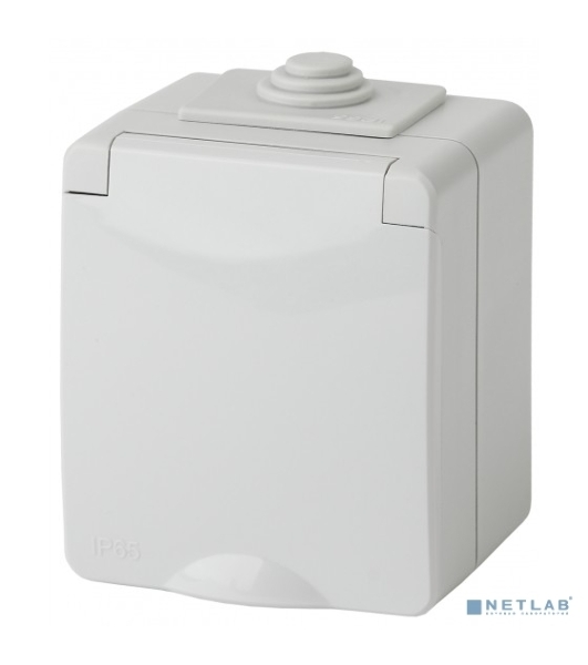 Розетка ЭРА 11-2601-03 2P+E IP65, 16A-250В, ОУ, серый