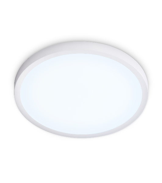 Светильник светодиодный ультратонкий Ambrella light FZ1951 WH белый IP54 20W 5000K D270*15 (Без ПДУ)
