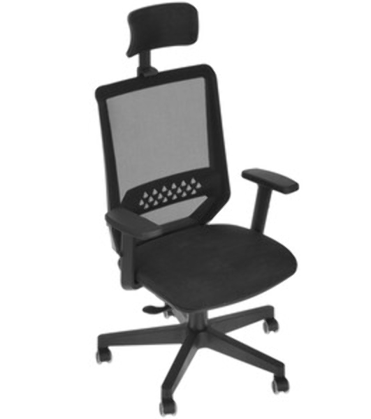 Кресло Бюрократ EXPERT TW-01 черный, сетка, подголовник
