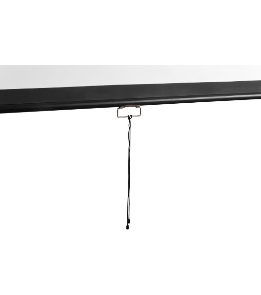Экран 177x308см Digis Optimal-D DSOD-16907 16:9 настенно-потолочный рулонный