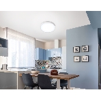Светильник светодиодный ультратонкий Ambrella light FZ1951 WH белый IP54 20W 5000K D270*15 (Без ПДУ), фото3