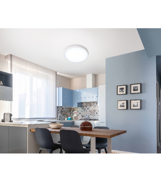 Светильник светодиодный ультратонкий Ambrella light FZ1951 WH белый IP54 20W 5000K D270*15 (Без ПДУ)