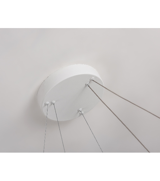 Подвесной светодиодный светильник Ambrella light FL5862/2 WH белый 45W 3000K/4200K/6400K D600/400*830 (без ПДУ)