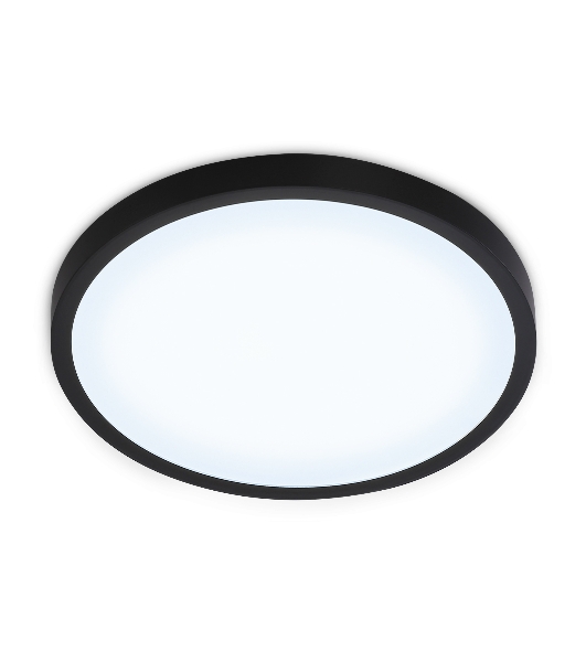 Светильник светодиодный ультратонкий Ambrella light FZ1953 BK черный IP54 20W 5000K D270*15 (Без ПДУ)