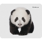 Коврик для мыши Defender Wild Animals и, 220x180x2 мм, 8 видов, фото2