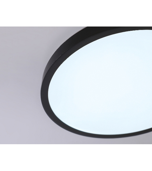 Светильник светодиодный ультратонкий Ambrella light FZ1953 BK черный IP54 20W 5000K D270*15 (Без ПДУ)