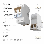 Автоматический выключатель Werkel 2P  63 A  C  6 кА W902P636, фото 1