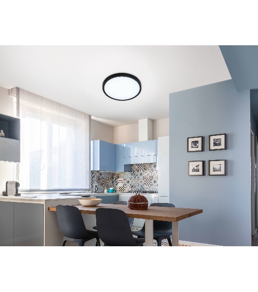 Светильник светодиодный ультратонкий Ambrella light FZ1953 BK черный IP54 20W 5000K D270*15 (Без ПДУ)