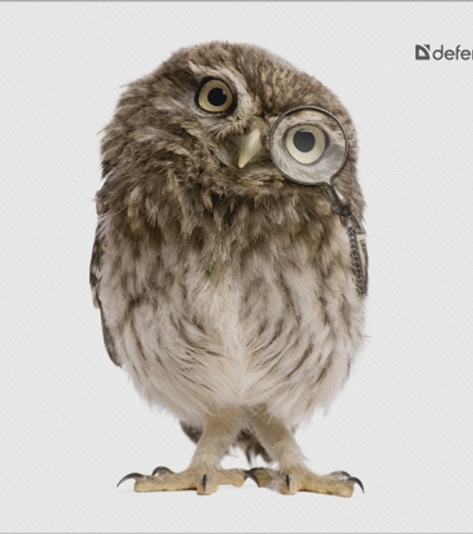 Коврик для мыши Defender Wild Animals и, 220x180x2 мм, 8 видов