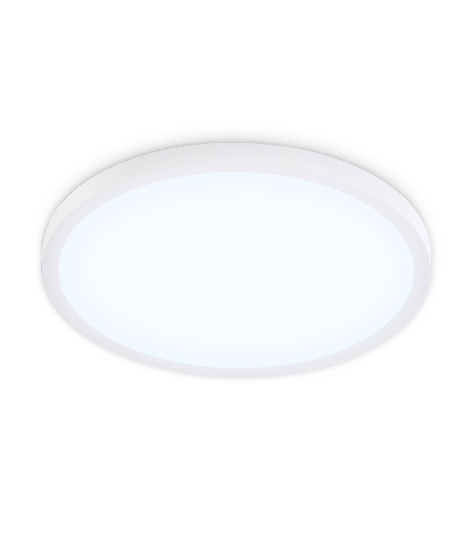 Светильник светодиодный ультратонкий Ambrella light FZ1955 WH белый IP54 26W 5000K D370*15 (Без ПДУ)