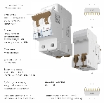 Автоматический выключатель Werkel 2P  32 A  C  6 кА W902P326, фото 1