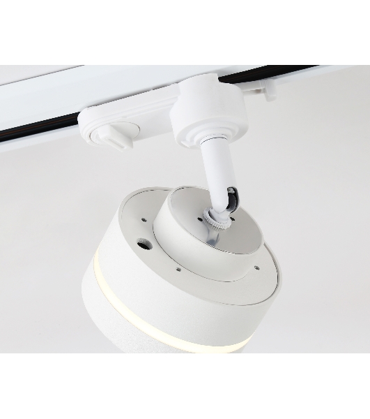 Cветильник трековый GL5384 WH/FR белый/белый матовый GX53 max 12W