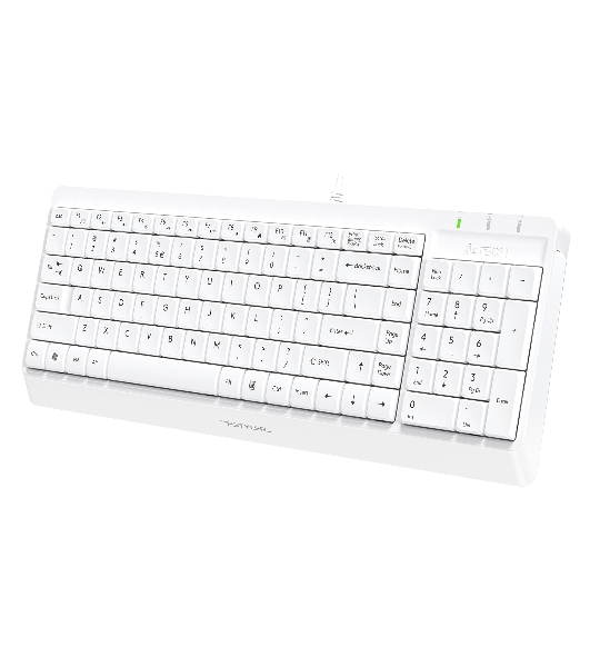 Клавиатура проводная A4Tech Fstyler FK15, USB, белый