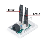 Розетка в сборе Cabeus, 1x RJ45(8P8C), кат. 6, неэкр., внешняя, белый, (WS-8P8C-Cat.6-1), фото 1