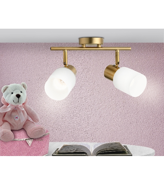 Светильник Ambrella light TR3969/2 BS/FR латунь/белый матовый  E27*2 max 40W 260*80*210