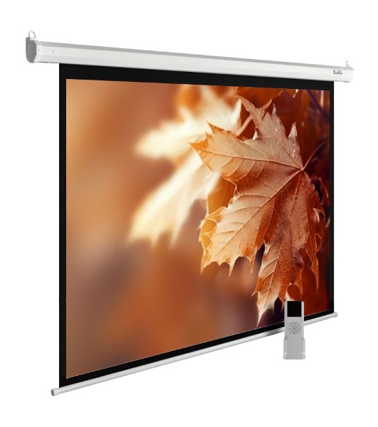 Экран Cactus 188x300 см MotoExpert CS-PSME-300x188-WT 16:10 настенно-потолочный рулонный белый (моторизованный привод)