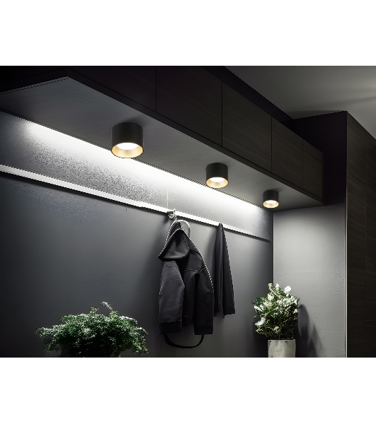 Светильник Ambrella light TN52887 SBK/SGD черный песок/золото песок GX53 max 12W D97*70